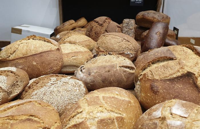 Pan y panaderos de Italia de Gambero Rosso, una nueva entrada para Liguria