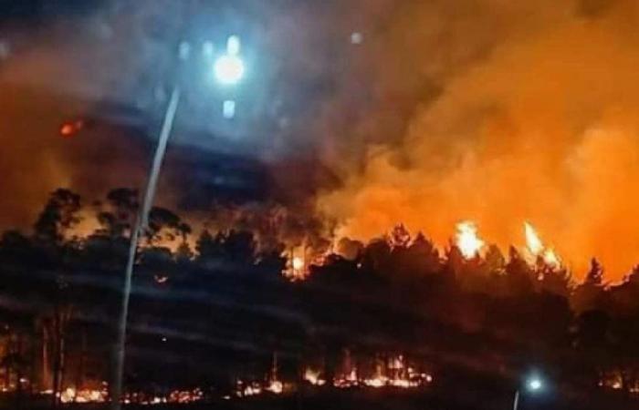 Estados Unidos: California arde, desde “Post” hasta “Max” hay alarma de incendio