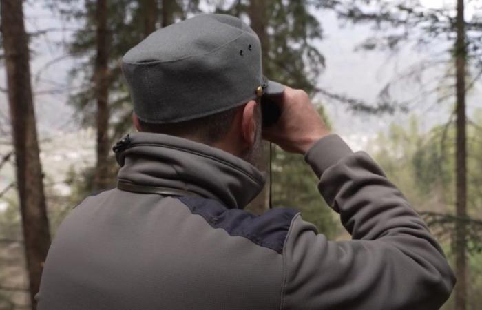 Los forestales actúan todos los días hasta las 22.00 horas para vigilar los países con mayor riesgo