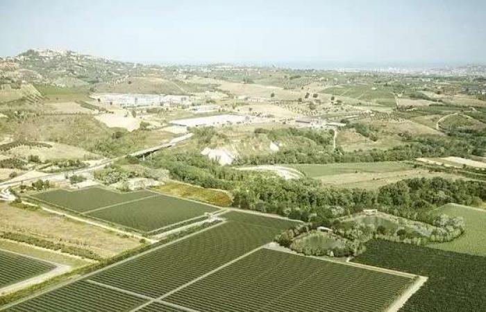 Parque solar también para EssilorLuxottica: 40 hectáreas de suelo industrial reconvertidas – Pescara