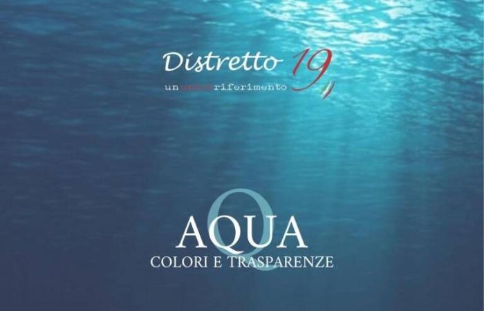 Aqua, el evento sensorial del Distrito 19 de L’Aquila
