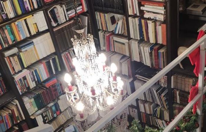 “La habitación del papel”: una librería mágica en Palermo, al pie de un campanario