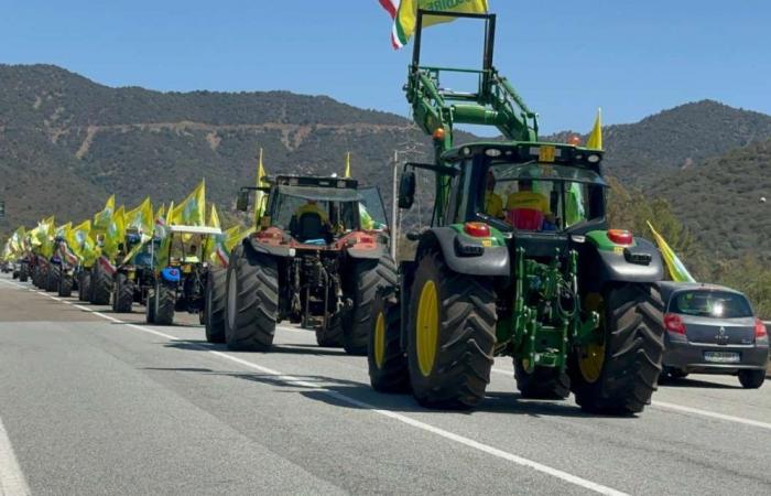 La protesta de los tractores contra la sequía llega a Gallura