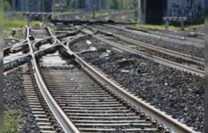 Bolzano: se anuncia licitación para el transporte público ferroviario en un solo lote