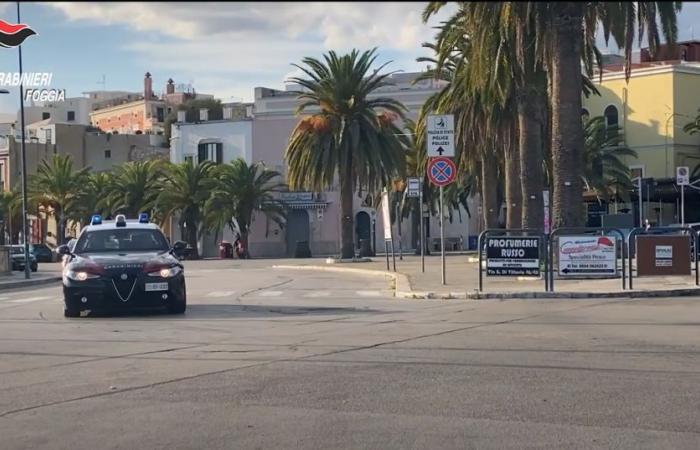 Manfredonia, tráfico de drogas, 8 detenciones por parte de los Carabinieri