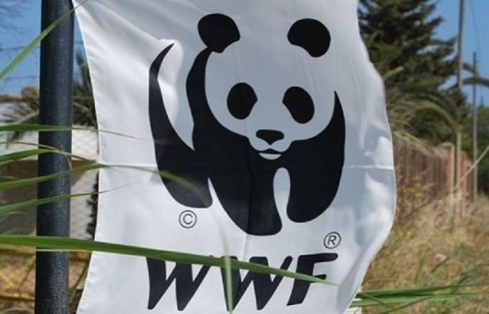 Plano del Parque Nacional del Gargano. WWF Foggia gana el concurso para el acceso a la información ambiental