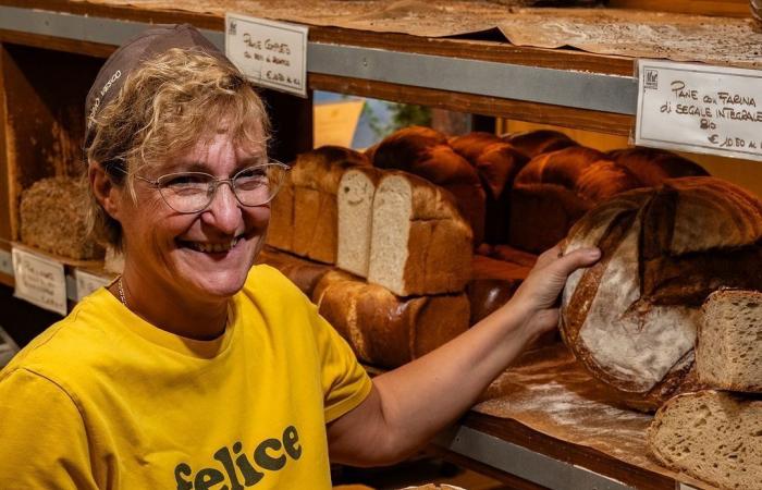 El mejor pan de Turín se puede comer en estas 5 panaderías – Turin News