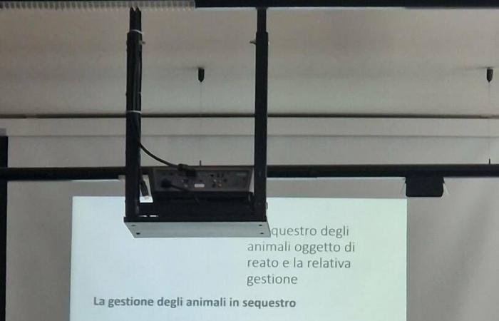 Velletri, gran éxito del seminario “Bienestar animal y medicina forense” en el Tribunal