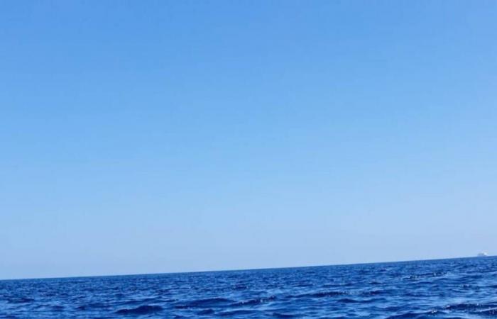 Domenica Canna de L’Aquila cruza a nado el Estrecho de Messina