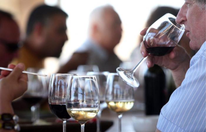 El vino siciliano se ha hecho grande e impulsa la economía de la isla.