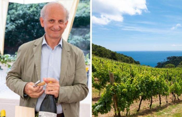 «Vino que sabe a mar» Frescobaldi, la isla de Gorgona y la nueva cosecha de Il Tirreno