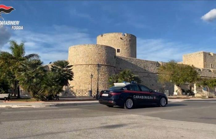 Tráfico de drogas en Manfredonia, 8 detenciones por parte de la policía