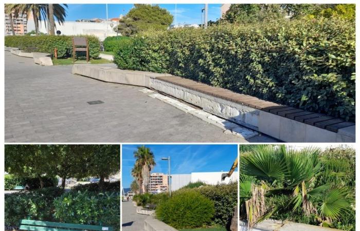 Savona, bancos de jardín destrozados y asientos de paseo en decadencia en la Ampliación – Savonanews.it