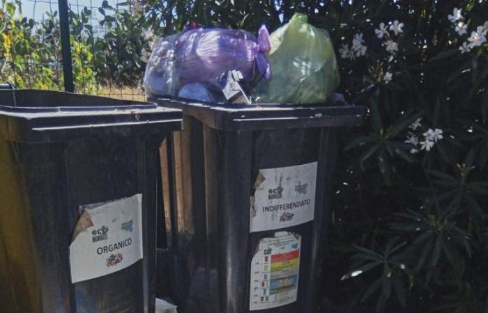Residuos, Coscione: ¿qué respeto para los operadores de recogida de residuos?