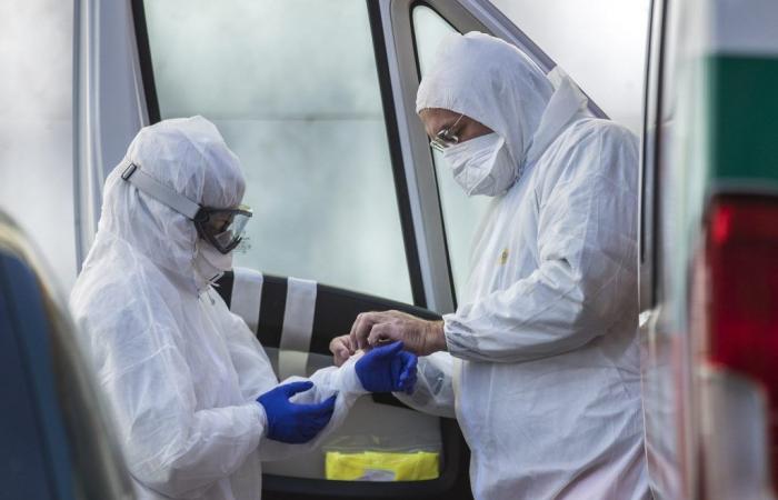 “La pandemia de gripe aviar es cuestión de tiempo, la mortalidad hasta el 50%”: la alarma del virólogo