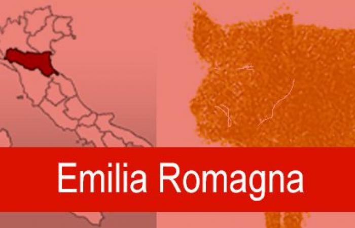 Emilia Romagna: se anuncia una nueva convocatoria para la despoblación de jabalíes