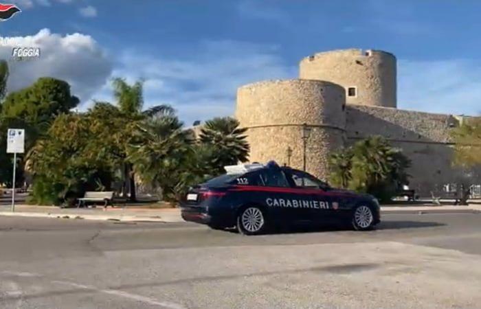 Manfredonia: tráfico de drogas, 8 detenciones por parte de los Carabinieri