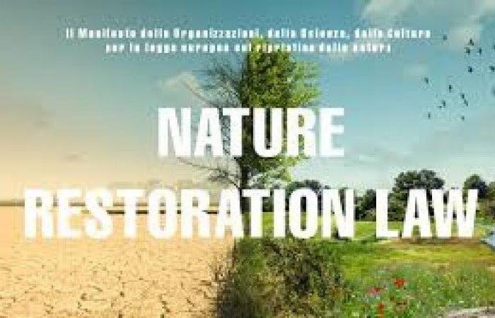 Victoria histórica de la naturaleza europea: aprobada la Ley de Restauración de la Naturaleza