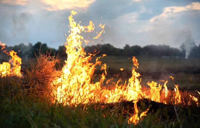 Incendios forestales: prohibición de encender fuego en Celano hasta el 17 de octubre