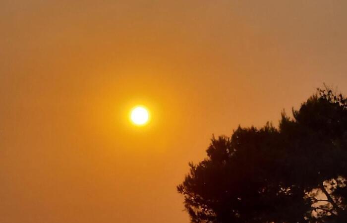 La ola de calor llega a Italia, temperaturas 12 grados por encima de lo normal – Noticias