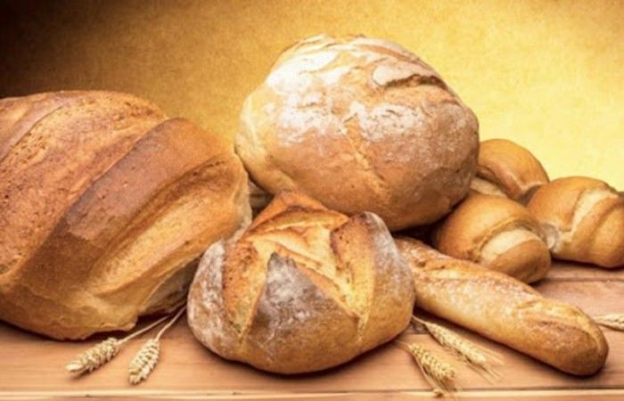 Gambero Rosso, también Bisceglie en la guía de pan y panaderos de 2025