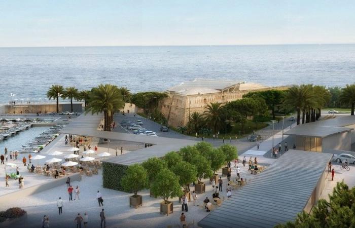 El Club Náutico y el Club de Remo impugnan el proyecto de remodelación del antiguo puerto y escriben al municipio – Sanremonews.it