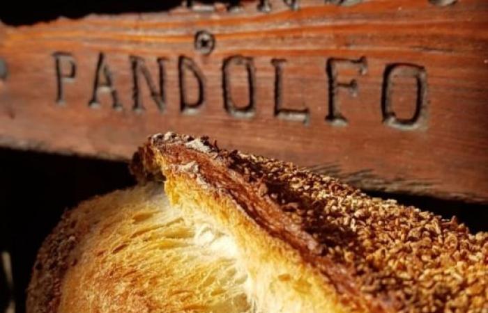 Cuáles son las mejores panaderías de la Toscana: todos los ganadores del concurso “Pan y panaderos de Italia 2025” de Gambero Rosso