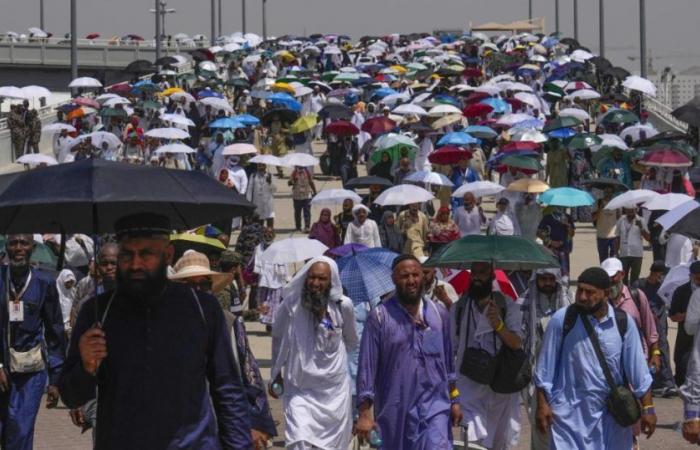 Masacre entre peregrinos que viajaban a La Meca. Más de 300 egipcios murieron debido al calor abrasador