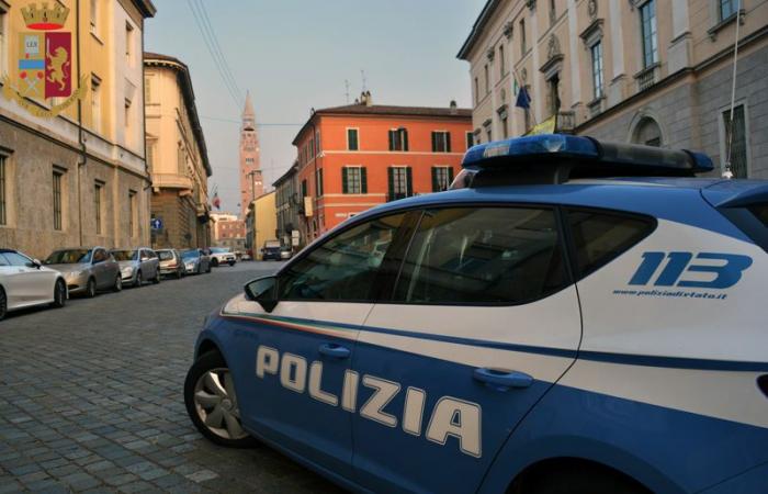 Cremona Sera – Un invernadero de marihuana en un cobertizo: la policía detiene a 3 personas y se incautan 150 kilos de droga
