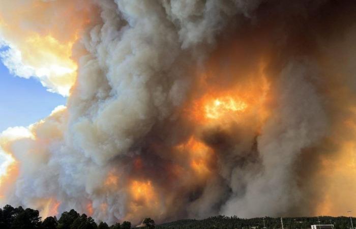 El viento empuja las llamas y los incendios forestales arrasan Nuevo México