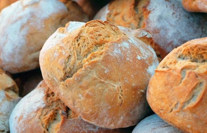 Gambero Rosso, descubriendo el mejor pan de la zona de Bérgamo