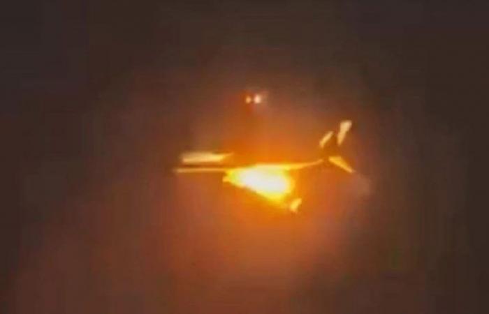Avión atropellado por un pájaro se incendia en vuelo, vídeo del incendio del Boeing 737 en Nueva Zelanda