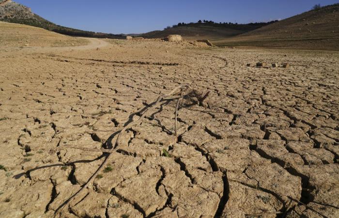 Sequía en Cerdeña, del Consejo del Fondo a 1.500 empresas afectadas. Y nació la Unidad de Proyectos
