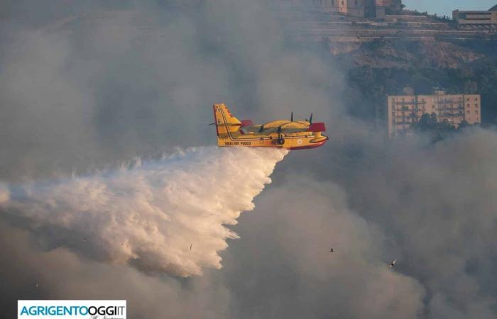 Temporada de incendios en la zona de Agrigento: los bomberos están ocupados apagando llamas maliciosas. Hectáreas de bosque incineradas