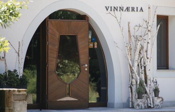 La Vinnaeria by Accademia abre en Capriva del Friuli: la vuelta al mundo en una copa con Simonit&Sirch