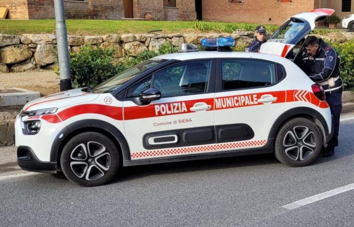 Policía Municipal de Siena, la actividad de los primeros meses de 2024