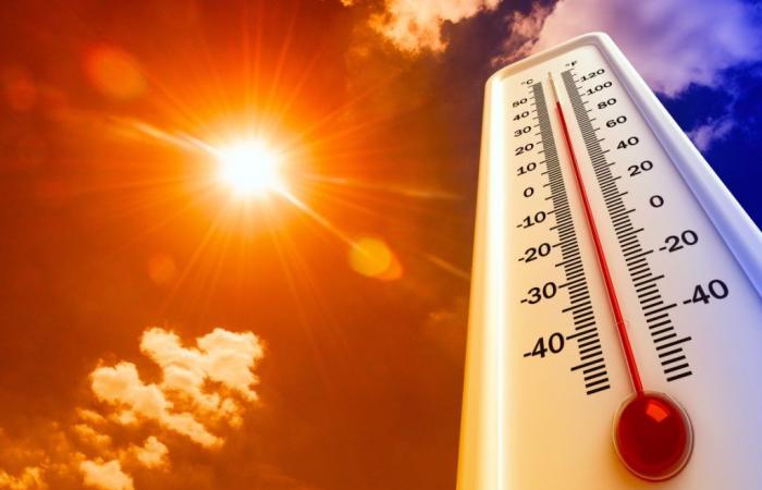 Región Lacio / Firmada la ordenanza para proteger a los trabajadores expuestos al calor excesivo