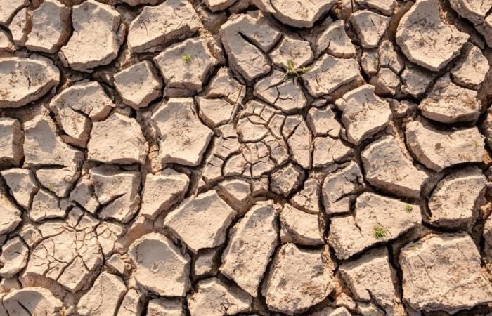Sequía, Sicilia pide el reconocimiento de las condiciones de fuerza mayor y circunstancias excepcionales – Economía y política