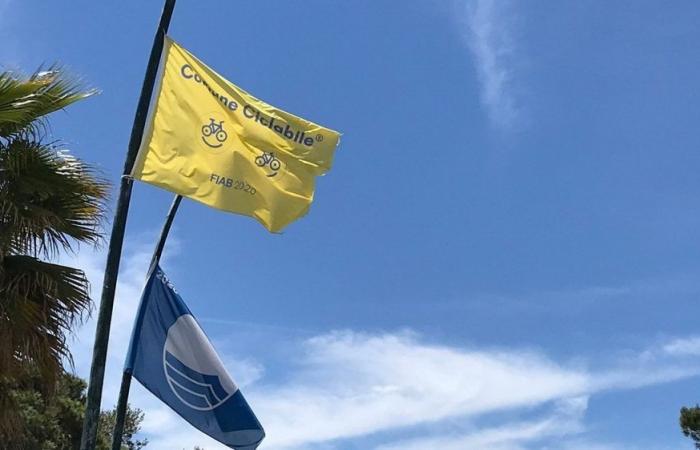 Bandera amarilla, los últimos pendones premiados. En julio la ceremonia con los 18 municipios de la región de Las Marcas