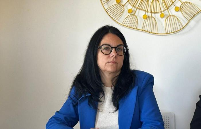 Civitavecchia – Ballot, Mari (FdI): “Con el apoyo de FI, el frente CDX vuelve a unirse para Grasso como alcalde”