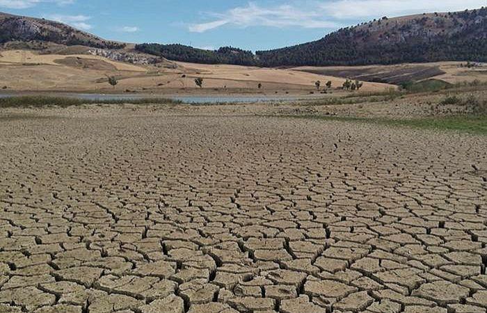 Sequía en Sicilia: se publica una licitación de 10 millones para el “vale forrajero” –