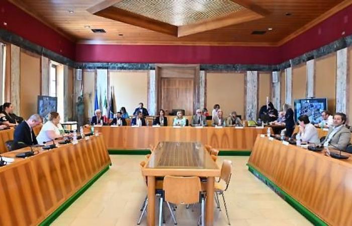 Conferencia de Alcaldes sobre Salud, Principios: “Satisfechos con las propuestas del Comisario Cenciarelli”