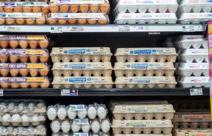 La Comisión Europea reintroducirá derechos sobre los huevos y la avena procedentes de Ucrania