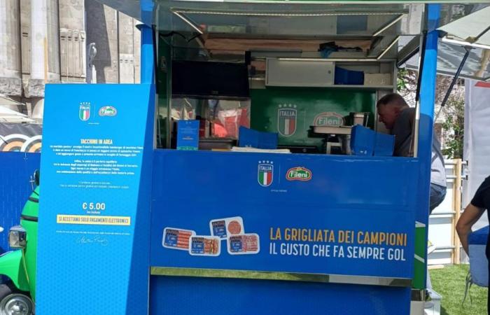 Fileni sigue en el campo con los Azzurri, en Milán y Pesaro – Noticias Pesaro – CentroPagina