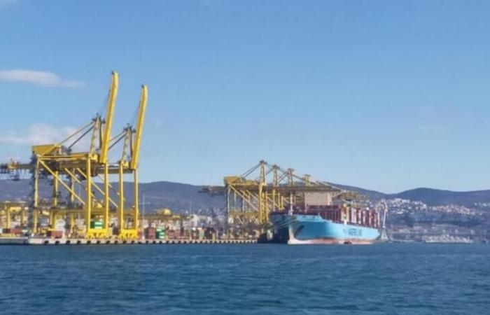 Porto Trieste y el cierre de Suez pesan sobre el tráfico, Teu -10,61%