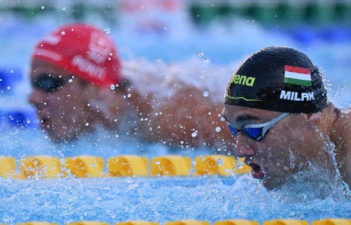 Nadando, Noè Ponti supera a Milak en las eliminatorias de 100 mariposa en Belgrado