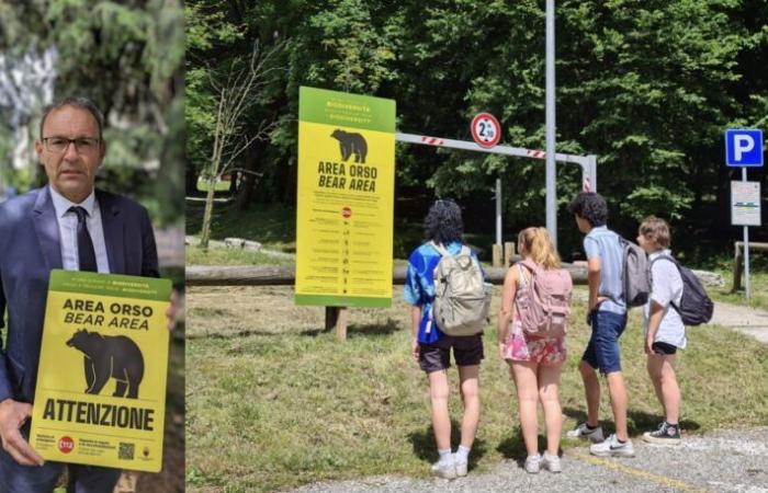 Bear, cinco mil carteles informativos instalados en los bosques de Trentino