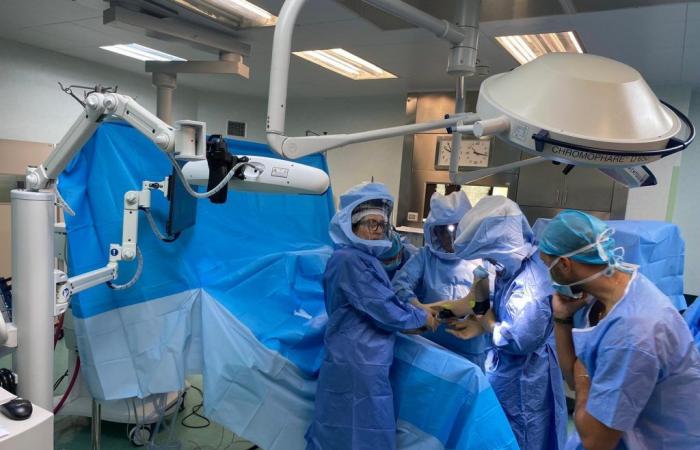 «Las primeras 50 operaciones de prótesis de rodilla con sistema robótico en Putignano»