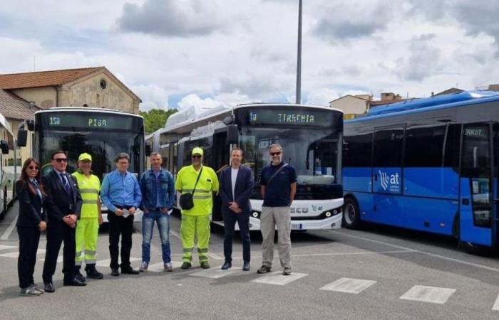 Nuevos autobuses en las carreteras de Pisa. En 11 meses ya se han sustituido 26 vehículos