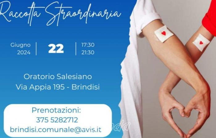 el sábado una campaña de donación de sangre Avis en el Oratorio Salesiano – Agenda Brindisi